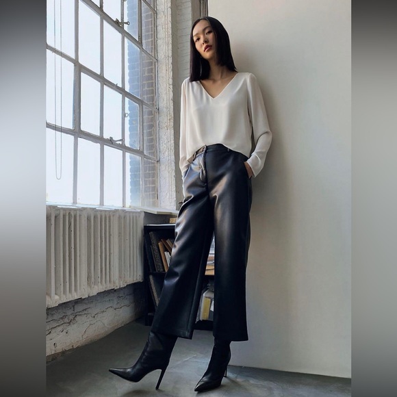 Aritzia Babaton Murphy Ling Sleeve V-neck Blouse - Picture 2 of 11